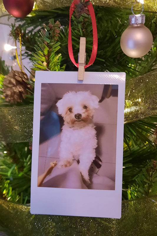 Adorno Navideño Instax Mini