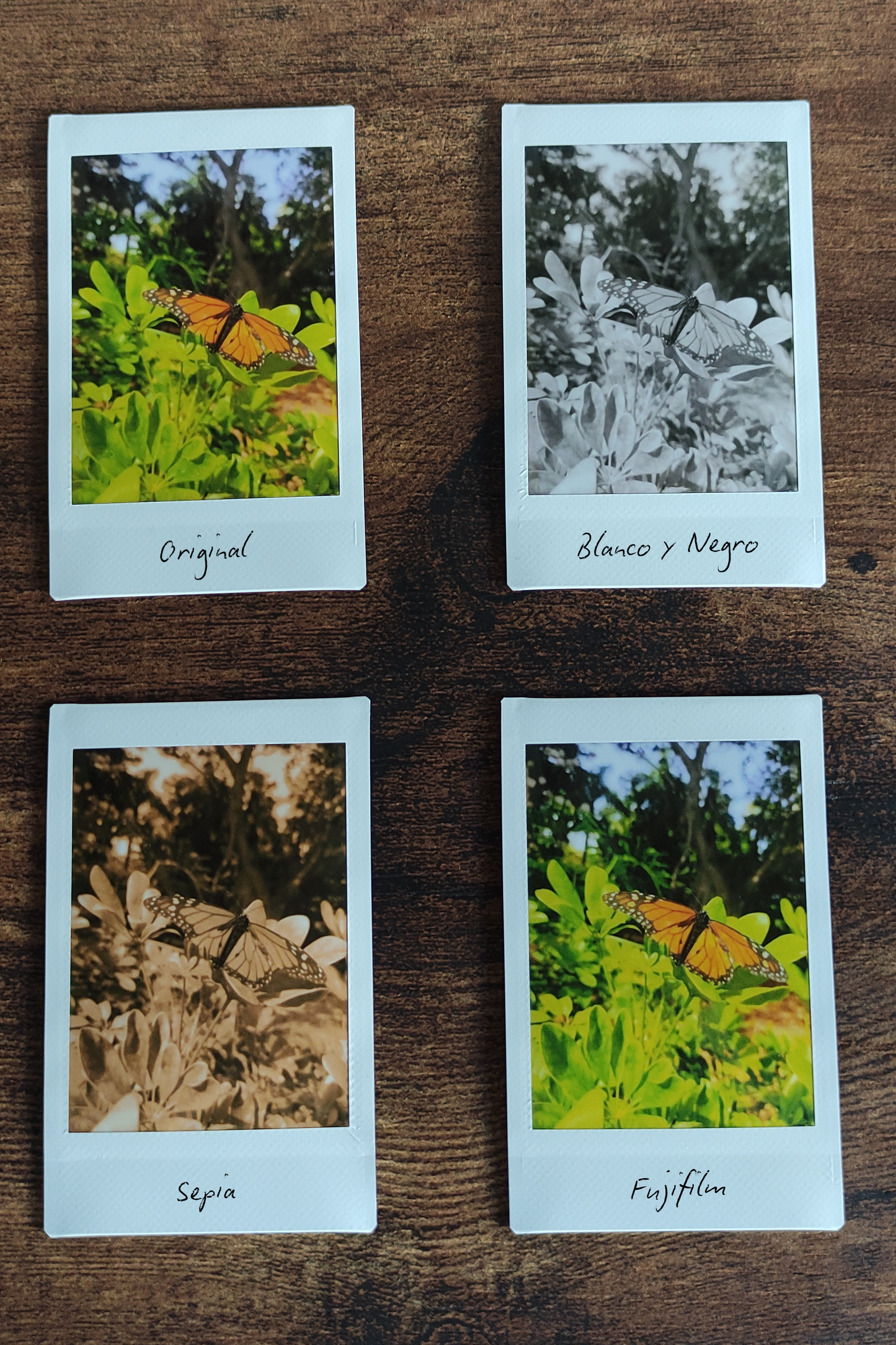 Impresión Instax Mini con Fondo de Tela y Marco de Roble A5